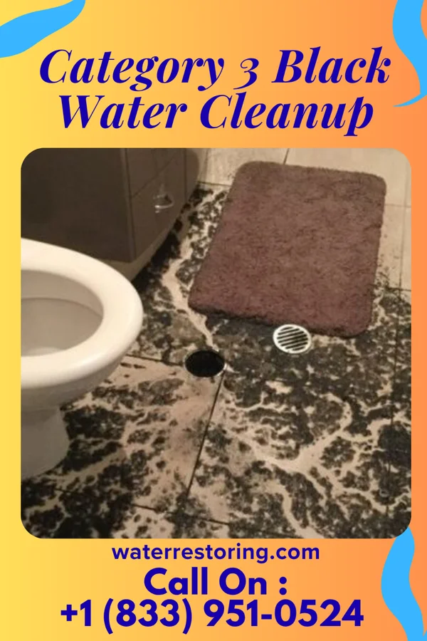 Category 3 Black Water Cleanup in Peaceful Valley, WA